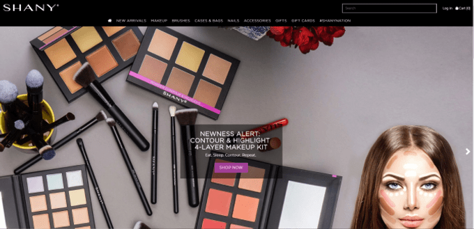 shany cosmetics budget 10