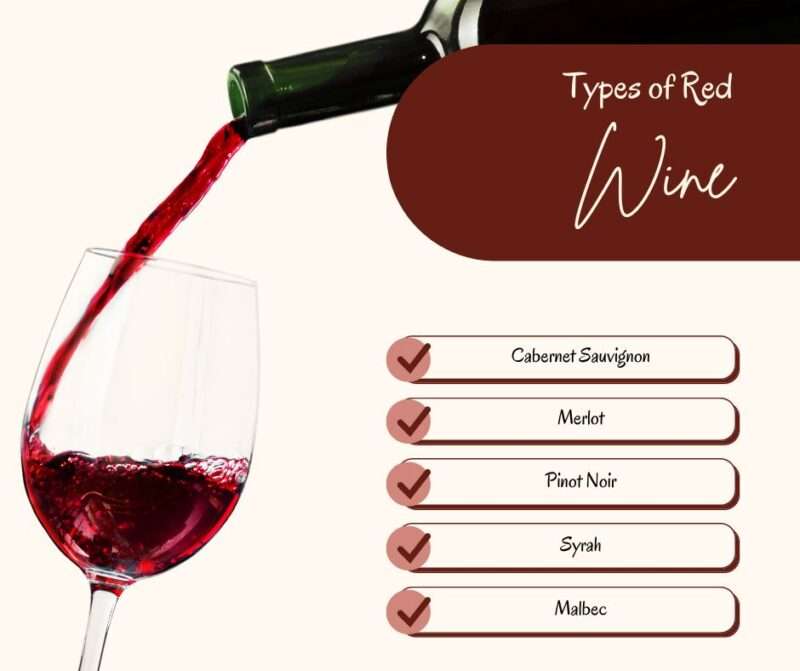 Different Types Of Wine Explained